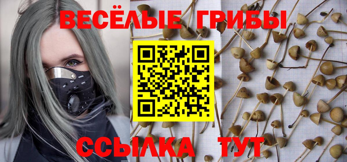 Псилоцибиновые грибы Psilocybine cubensis Соликамск