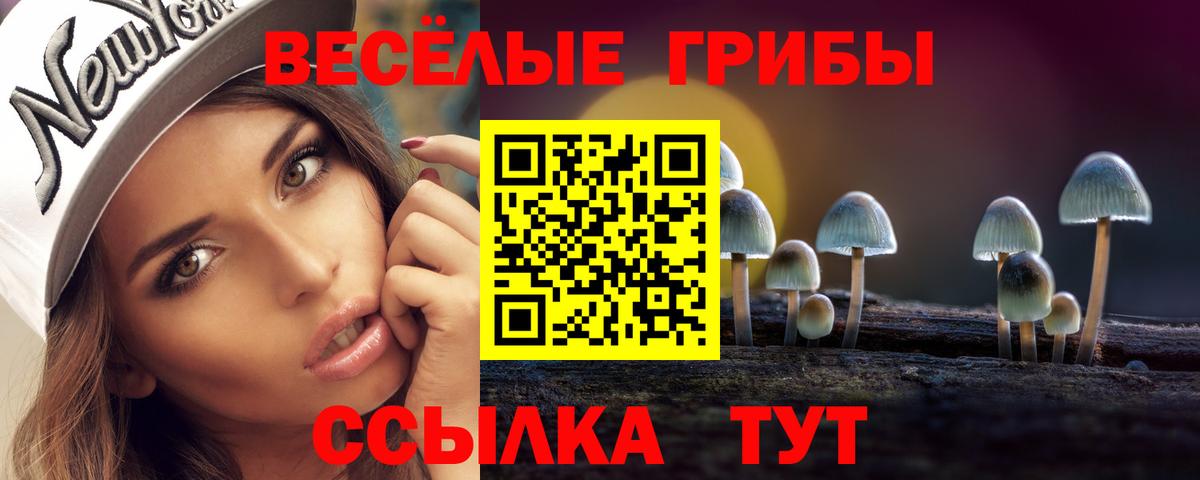 Соликамск  Галлюциногенные грибы прущие грибы  Вход с VPN  Галлюциногенные грибы Psilocybe 